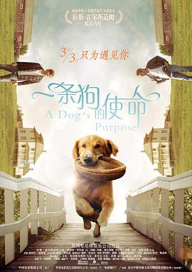 抗癌题材电影《小伟》1.22上映 六大看点超全揭秘 2021-01-22 明”三个人的视觉出发，诠释了自一家人得知父亲患癌到父亲最后离世的全部心路历程。