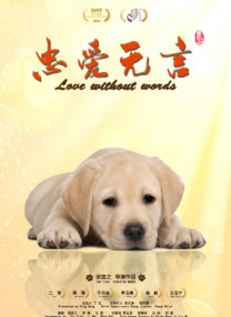 聆听业界心声，追寻光影初心。