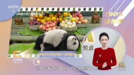 演员们深入理解角色，被原型人物的真实经历深深打动，才将那份家国情怀与英雄气概融入表演，让银幕上的每一个形象都鲜活有力。